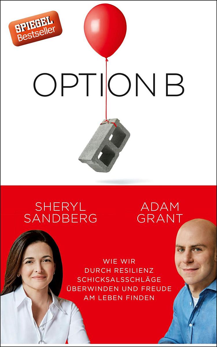 Buchcover: Option B