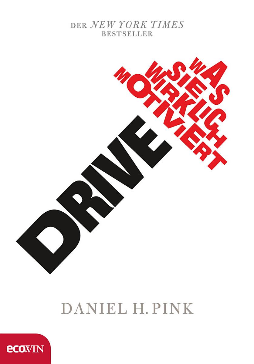 Buchcover: Drive